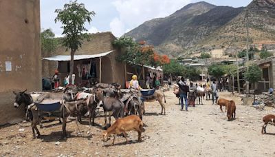 Éthiopie: les agriculteurs du Tigré peinent à se remettre de la guerre