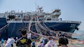 Em guerra com os ambientalistas, Japão lança novo 'navio-mãe' de caça às baleias