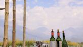 Explore the bodegas of Argentina's wine region on horseback or bike