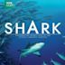 Shark (British TV series)