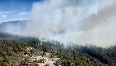 Durango alcanzó 122 incendios forestales este 2024