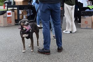 HARP holds second ‘Barks and Brews’ event to encourage community involvement