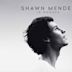 Shawn Mendes: In Wonder