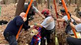 3 Fire Departments Help Save 100-Lb. Great Dane Puppy After Dog Falls Down North Carolina Well
