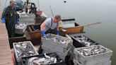 Alaska, Florida delegations push for FISHES Act