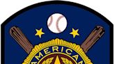 Blissfield falls in Class AA American Legion baseball final