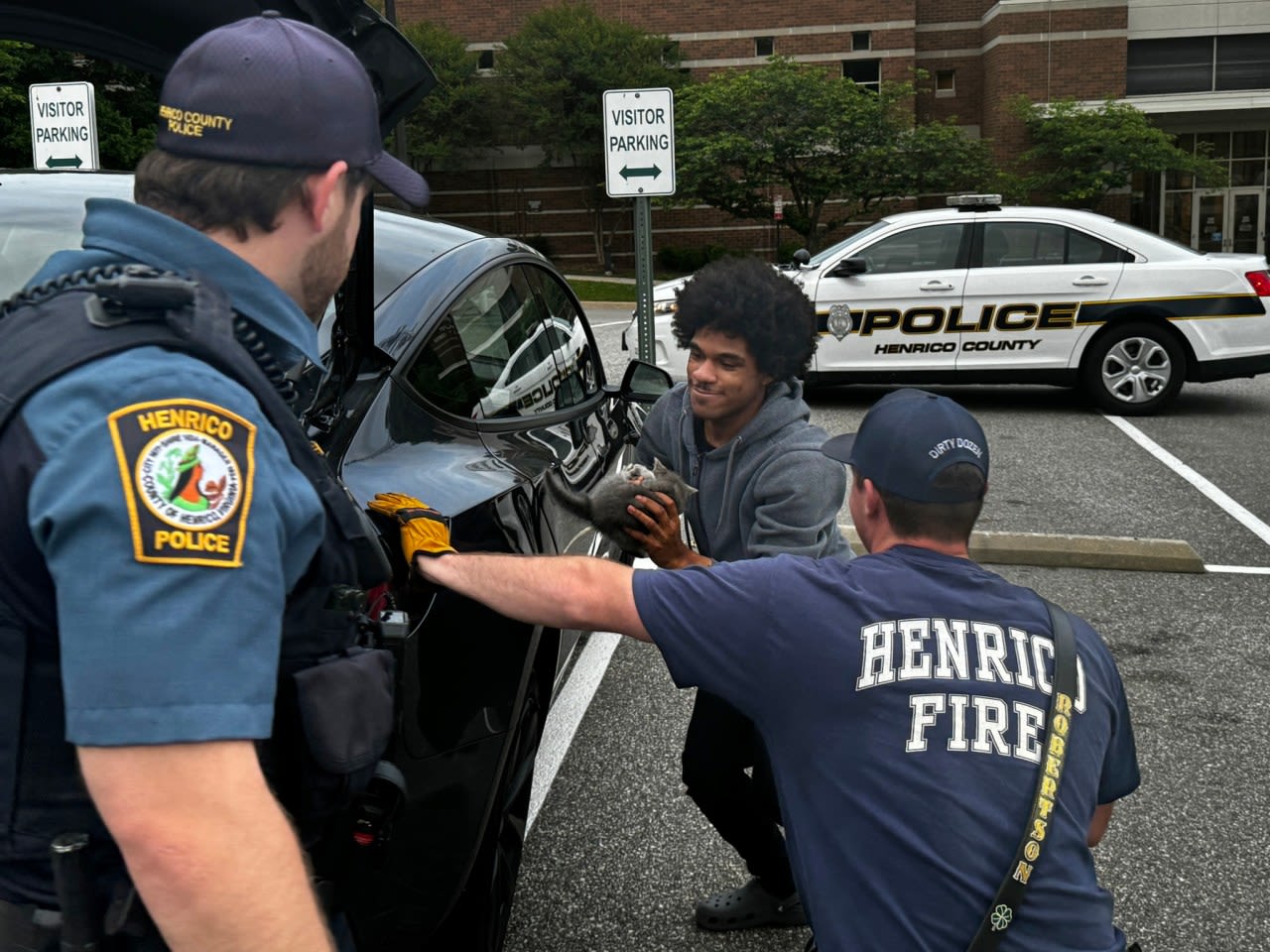 Henrico County firefighters rescue kitten stuck in car