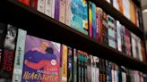 Hungary fines book chain for selling British author’s LGBT+ novels