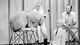 Hubert G. Wells Dies: Hollywood Animal Trainer For ‘Doctor Dolittle’, ‘Babe’ & Many Others Was 88