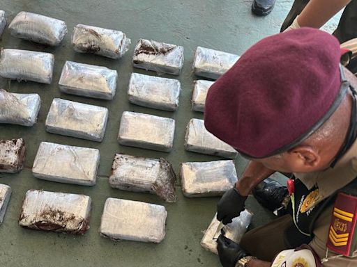 El Ejército de Colombia incautó 2,7 toneladas de marihuana