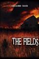 The Fields