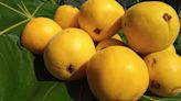 Esta es la desconocida fruta amazónica que aporta colágeno y mejora la salud del hígado