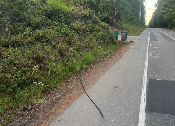 Internet service down in parts of North Kitsap due to cut line