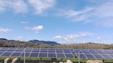 Sheep & Solar: A "Beautiful Symbiotic Relationship" - CleanTechnica