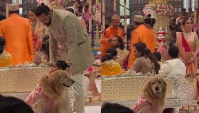 Anant Ambani-Radhika Merchant wedding: Groom’s dog ’Happy’ is the cutest family member in a sherwani