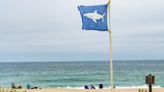 Experts Issue Shark Warning for Popular U.S. Beach Ahead of Memorial Day