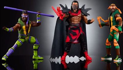 Ninja Turtles and WWE Combine for Figures – Acknowledge Them!