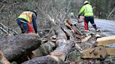 West Virginia Division of Highways road crews help clean up after storms