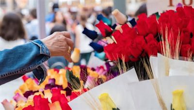 Sant Jordi 2024: todas las actividades para celebrar el día del libro y la rosa en Barcelona