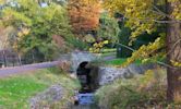 Morris Arboretum