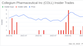 Collegium Pharmaceutical Inc CEO Joseph Ciaffoni Sells Company Shares