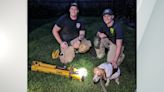 ‘Sassy the Beagle’ rescued by Lancaster County firefighters