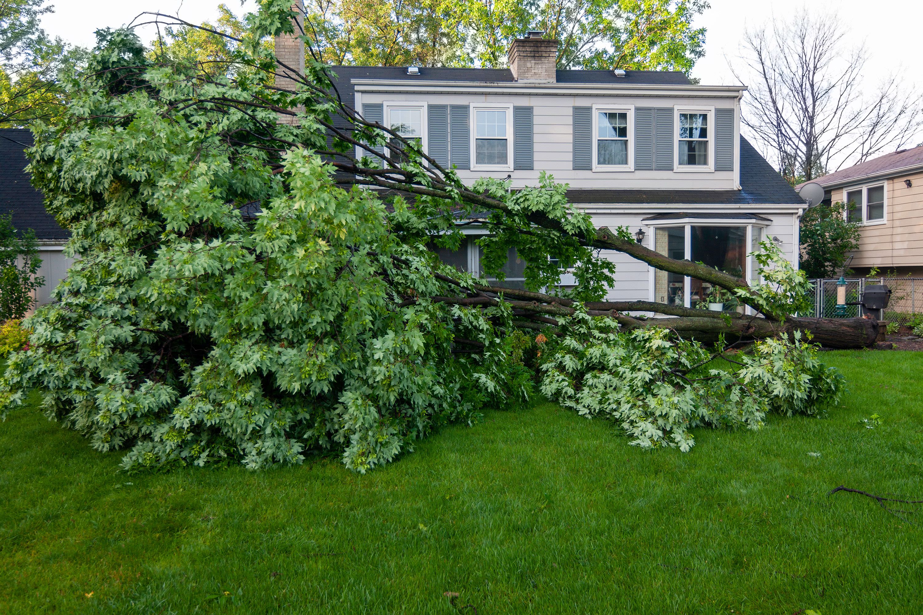 7 Essential Steps to Take ASAP After Your Home Suffers from Storm Damage