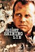 A Bright Shining Lie (film)