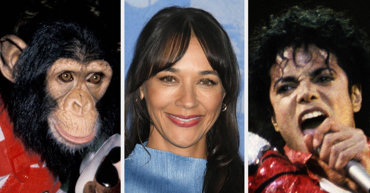 Rashida Jones Casually Revealed She Was Bitten By Michael Jackson’s Pet Chimp As A Kid After She “Slapped” It