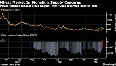 Bad Weather and War Are Straining the World’s Wheat Supply