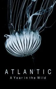 Atlantic: A Year In The Wild