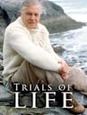 The Trials of Life
