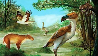 Antarctica's Terror Bird Was an Apex Predator of the Eocene Epoch