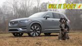 2024 Volvo XC90 Recharge: Will It Dog?