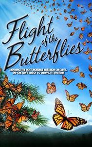 Flight of the Butterflies