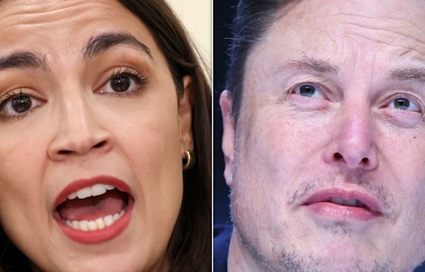 Alexandria Ocasio-Cortez Puts Elon Musk In His Place With Perfectly Patronizing Reminder