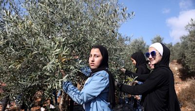 Illegal Israeli immigrants continue burning Palestinian farmland