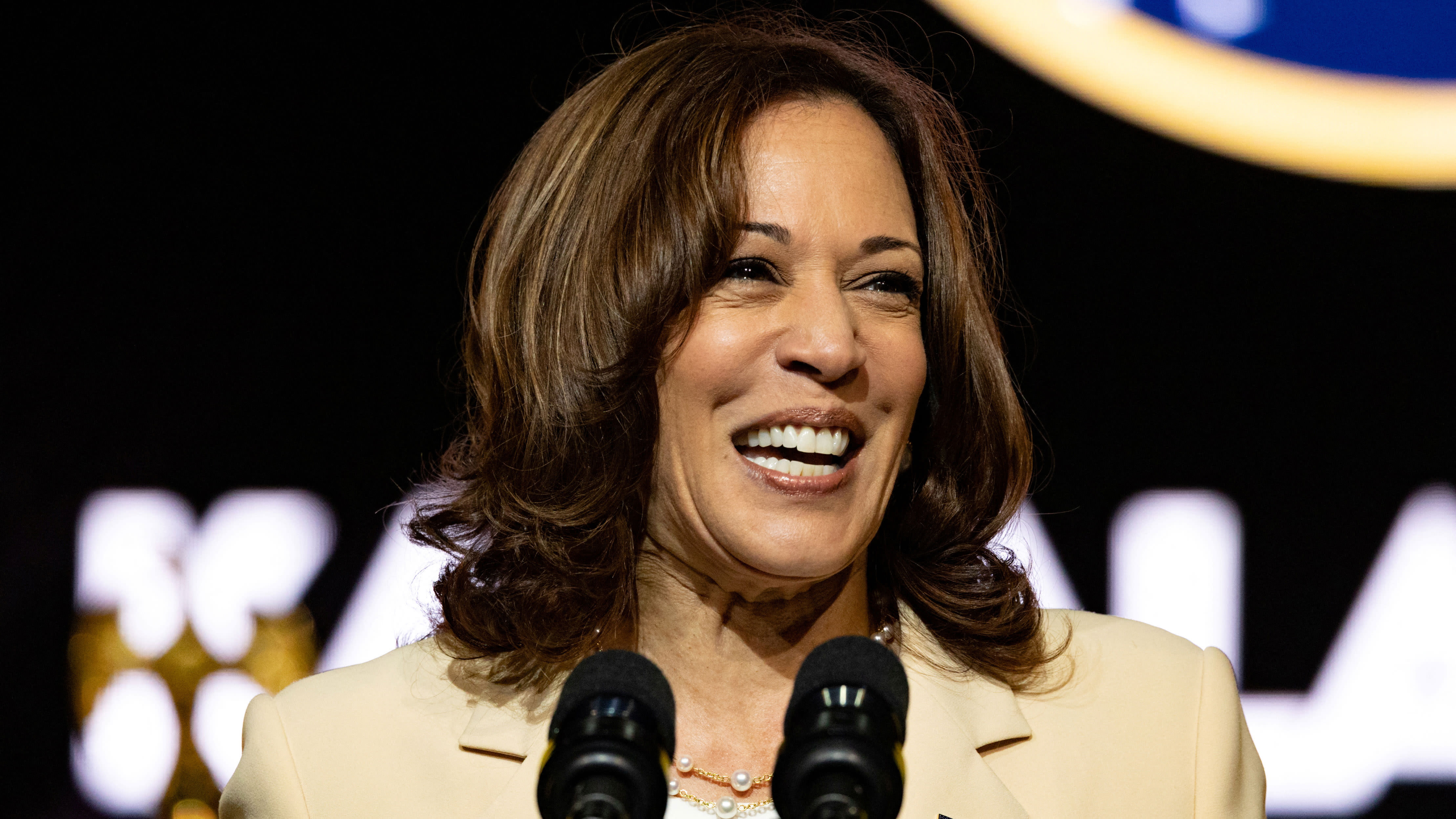 Harris says 'everybody needs to be woke' in unearthed clip spreading like wildfire on social media