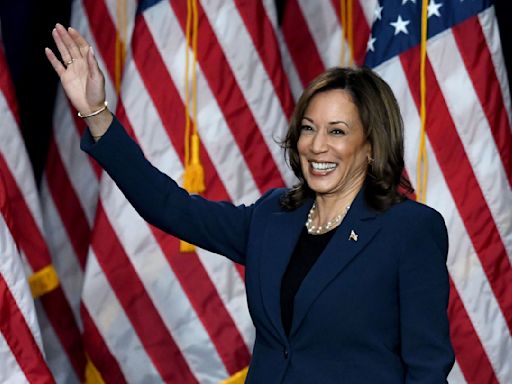 7 Fascinating Money and Financial Facts To Know About VP Kamala Harris