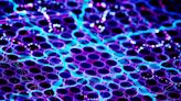 New “Better Than Graphene” Material Could Transform Implantable Technology