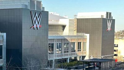 WWE Gets Extension To Respond To A Fan Injury Lawsuit - PWMania - Wrestling News