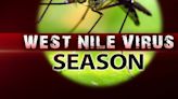 Colorado doctors warning of West Nile virus, after state saw biggest outbreak in the country last year