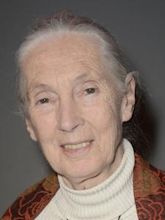 Jane Goodall