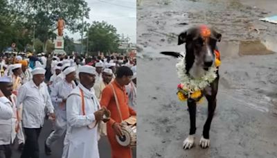 Heartwarming! Warkari Man's Dog Walks 200 Km From Pandharpur To Belagavi Village To Reunite With Owner