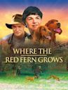 Where the Red Fern Grows (2003 film)