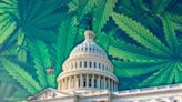 Cannabis Banking Protections At Risk In GOP Spending Bill