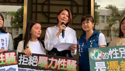 開告鍾佳濱性騷！ 陳菁徽淚訴：民進黨是性別憑「拳」嗎？｜壹蘋新聞網