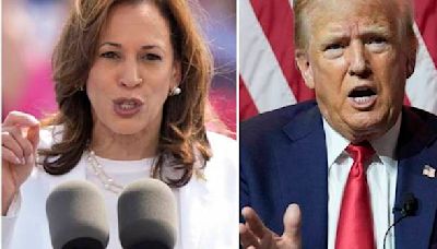 Americans give Harris an advantage over Trump on honesty and discipline, an AP-NORC poll finds