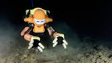 This Mermaid Robot Helps Scientists Hunt for Sunken Treasure