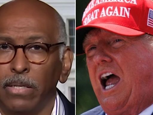 Michael Steele Hits Donald Trump Right Where It Hurts: 'That Is Your Truth'